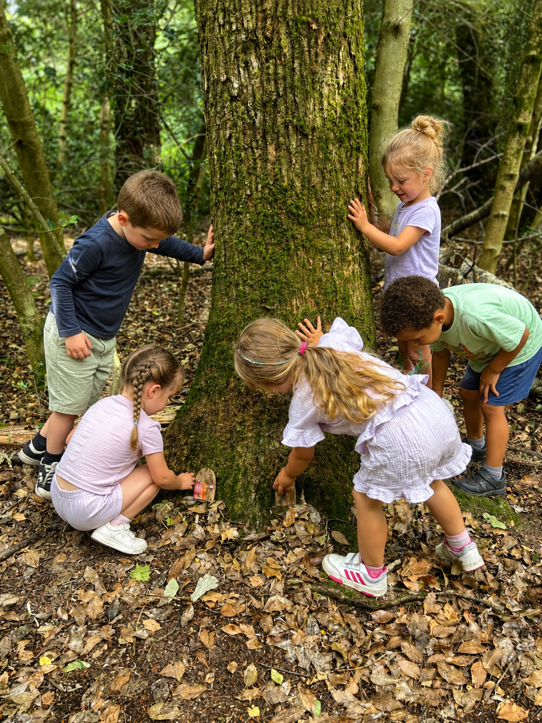 Children balancing on tree stumps in a forest setting